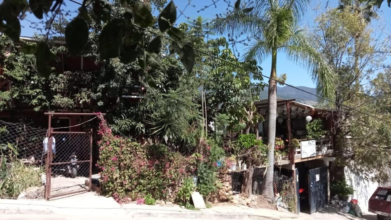 Готель La Casa Del Nenufar Oaxaca Екстер'єр фото