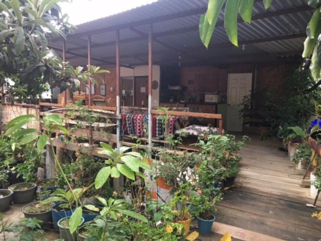 Готель La Casa Del Nenufar Oaxaca Екстер'єр фото
