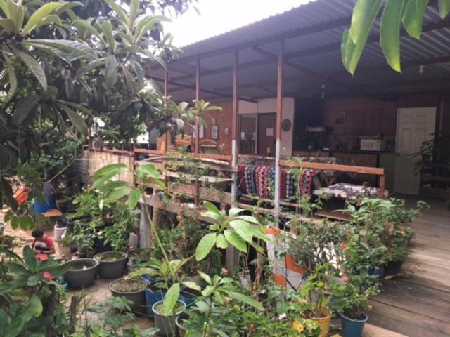 Готель La Casa Del Nenufar Oaxaca Екстер'єр фото